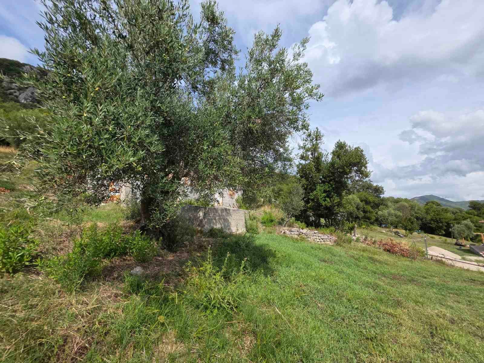 Urbanizovan plac sa trajnim pogledom na more – 1.058 m², Podi, Herceg Novi - Amfora Real Estate