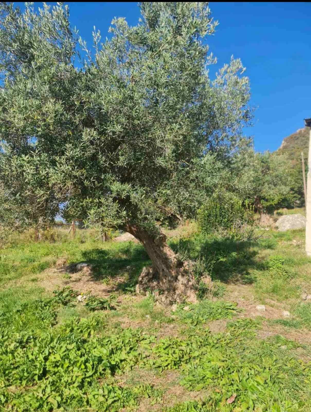 amforaproperty.com/Urbanizovan plac sa trajnim pogledom na more – 1.058 m², Podi, Herceg Novi