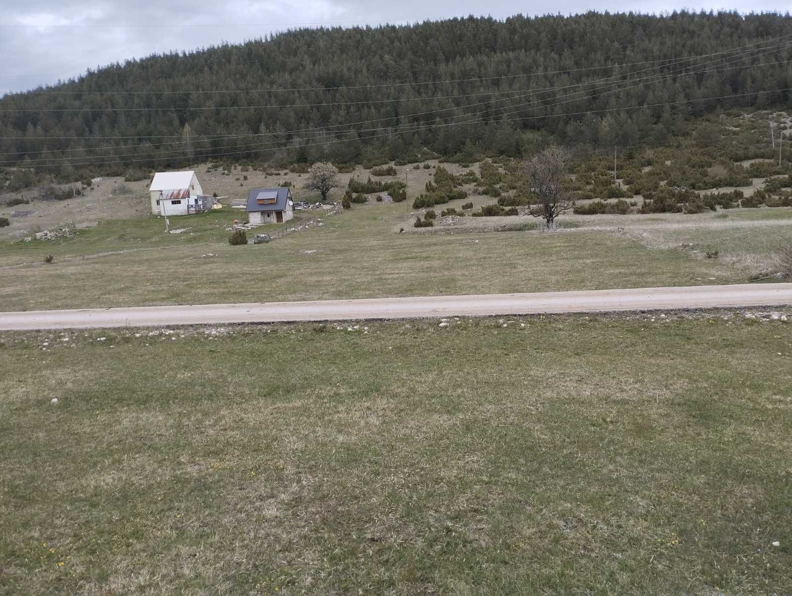 amforaproperty.com/Plac 1.500 m² sa pristupom struji i vodi – Njegovuđa, Žabljak