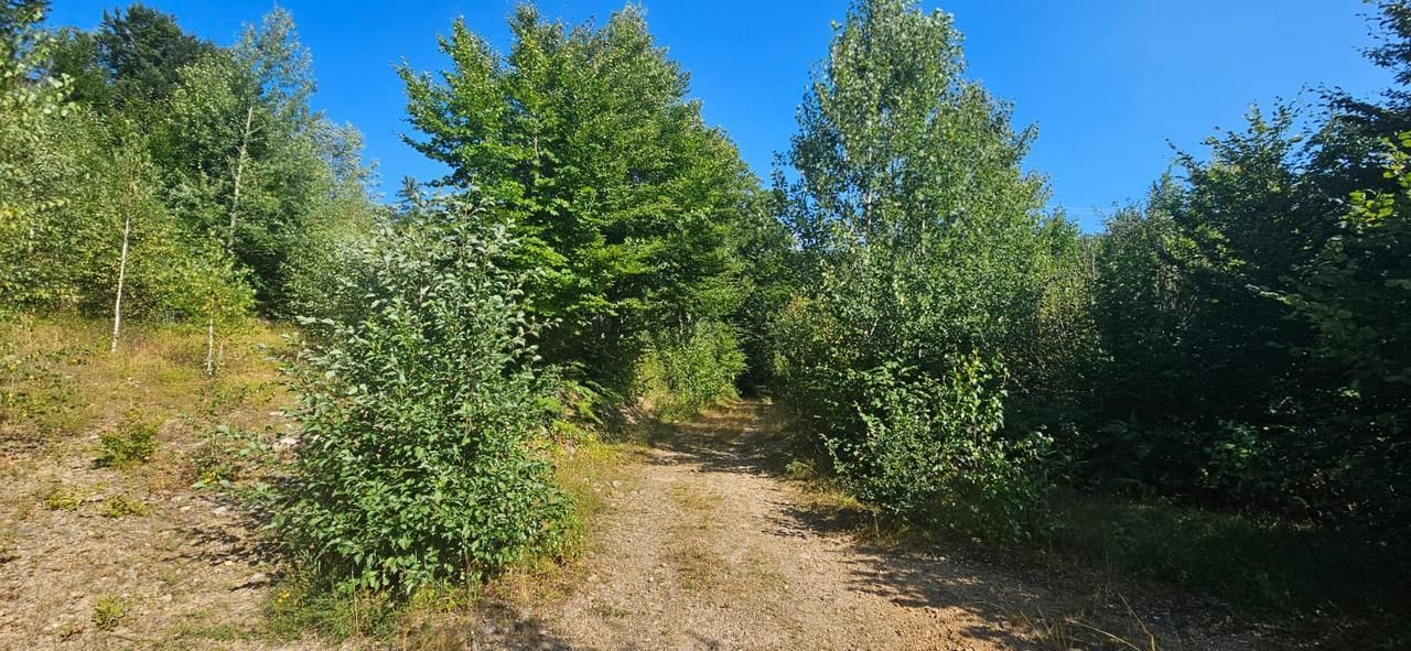 amforaproperty.com/Zemljište 6.154 m² sa izvorom– Šljivovica, Kolašin