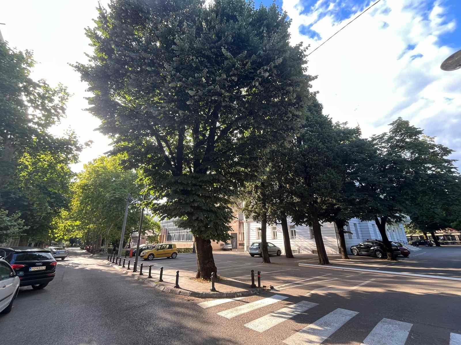 Poslovni prostor 15 m² na atraktivnoj lokaciji – Podgorica - Amfora Real Estate