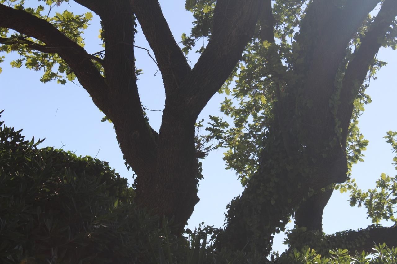 Luksuzna vila 440 m² sa 7 spavaćih soba i panoramskim pogledom na more-Prijevor,Budva - Amfora Real Estate