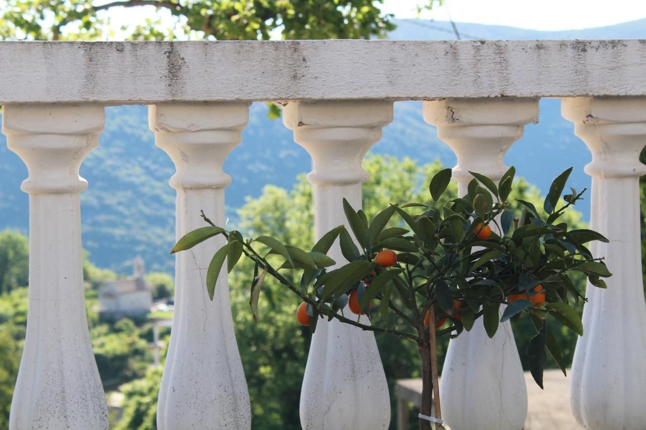 Luksuzna vila 440 m² sa 7 spavaćih soba i panoramskim pogledom na more-Prijevor,Budva - Amfora Real Estate