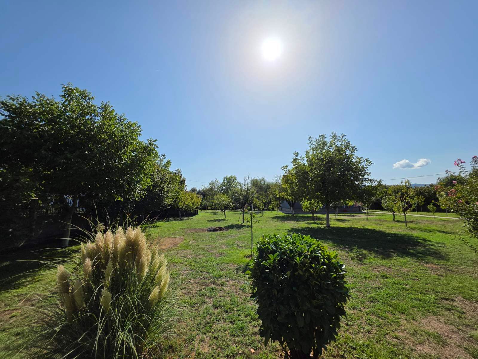 Prodaje se imanje od 3.000 m² sa dva kućna objekta, voćnjakom i garažom – Sušica, Danilovgrad - Amfora Real Estate