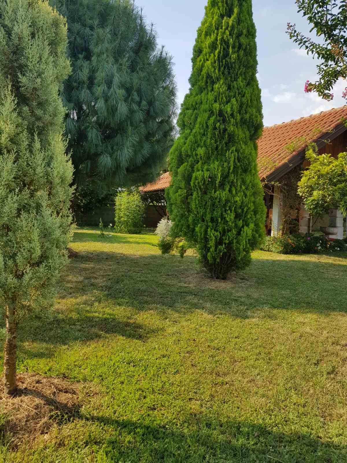 Prodaje se imanje od 3.000 m² sa dva kućna objekta, voćnjakom i garažom – Sušica, Danilovgrad - Amfora Real Estate