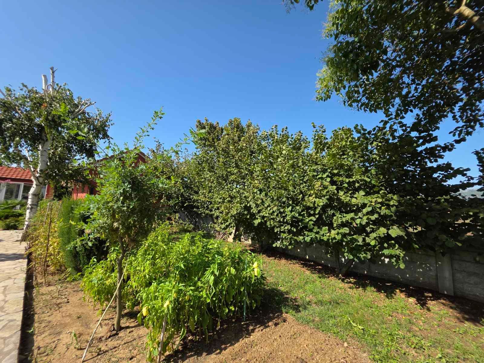 Prodaje se imanje od 3.000 m² sa dva kućna objekta, voćnjakom i garažom – Sušica, Danilovgrad - Amfora Real Estate