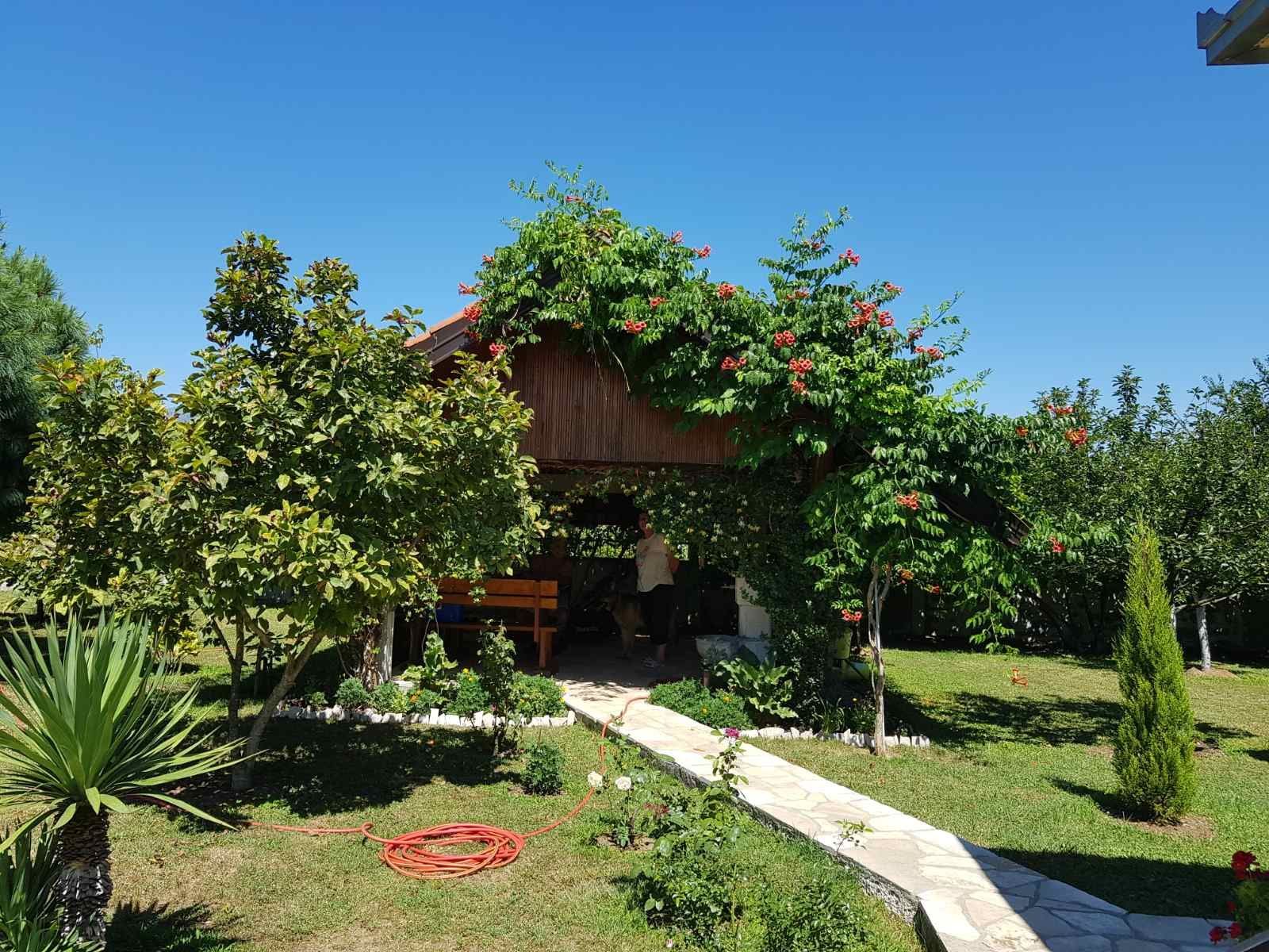 Prodaje se imanje od 3.000 m² sa dva kućna objekta, voćnjakom i garažom – Sušica, Danilovgrad - Amfora Real Estate