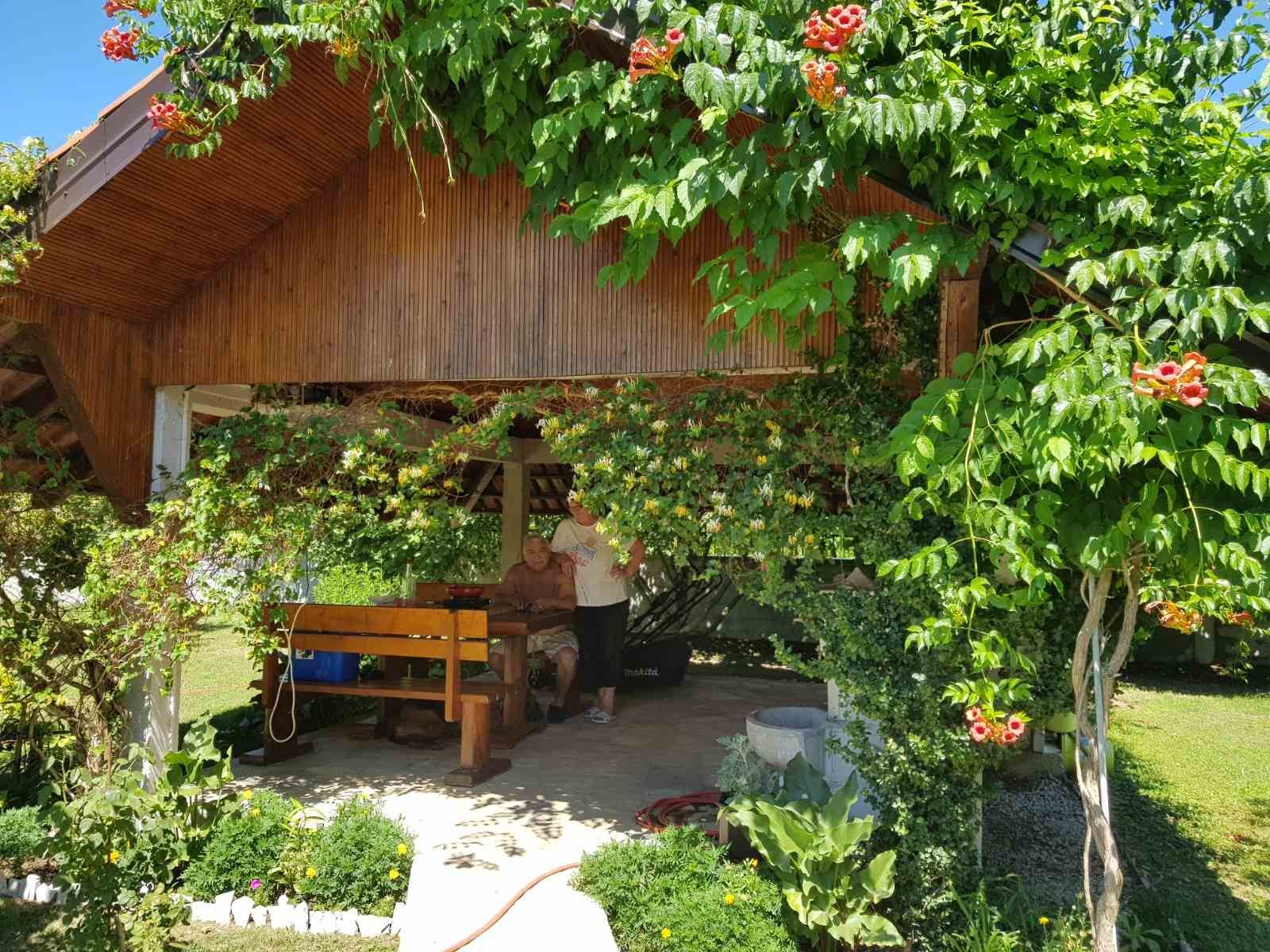 Prodaje se imanje od 3.000 m² sa dva kućna objekta, voćnjakom i garažom – Sušica, Danilovgrad - Amfora Real Estate