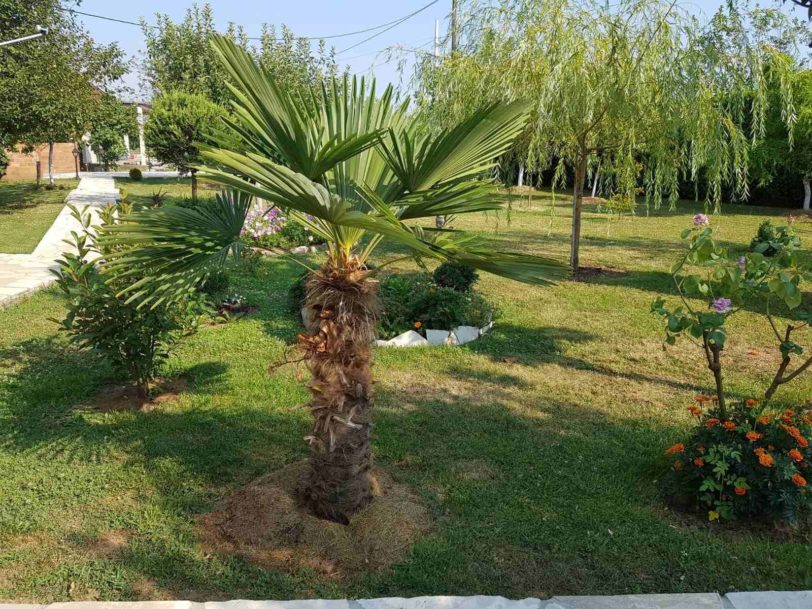 Prodaje se imanje od 3.000 m² sa dva kućna objekta, voćnjakom i garažom – Sušica, Danilovgrad - Amfora Real Estate