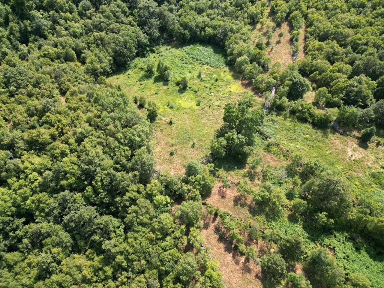 Zemljište 49.000 m² – Gluhi Do / Virpazar, Opština Bar - Amfora Real Estate