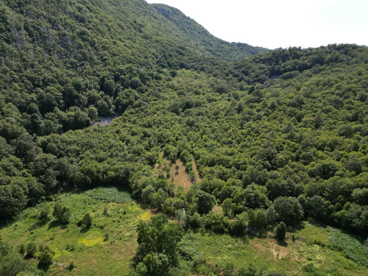 Zemljište 49.000 m² – Gluhi Do / Virpazar, Opština Bar - Amfora Real Estate