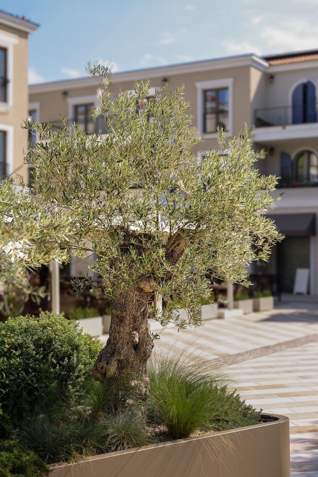 Ekskluzivan jednosoban apartman 72,05 m² – Luštica Bay, Centrale (fleksibilni uslovi plaćanja) - Amfora Real Estate