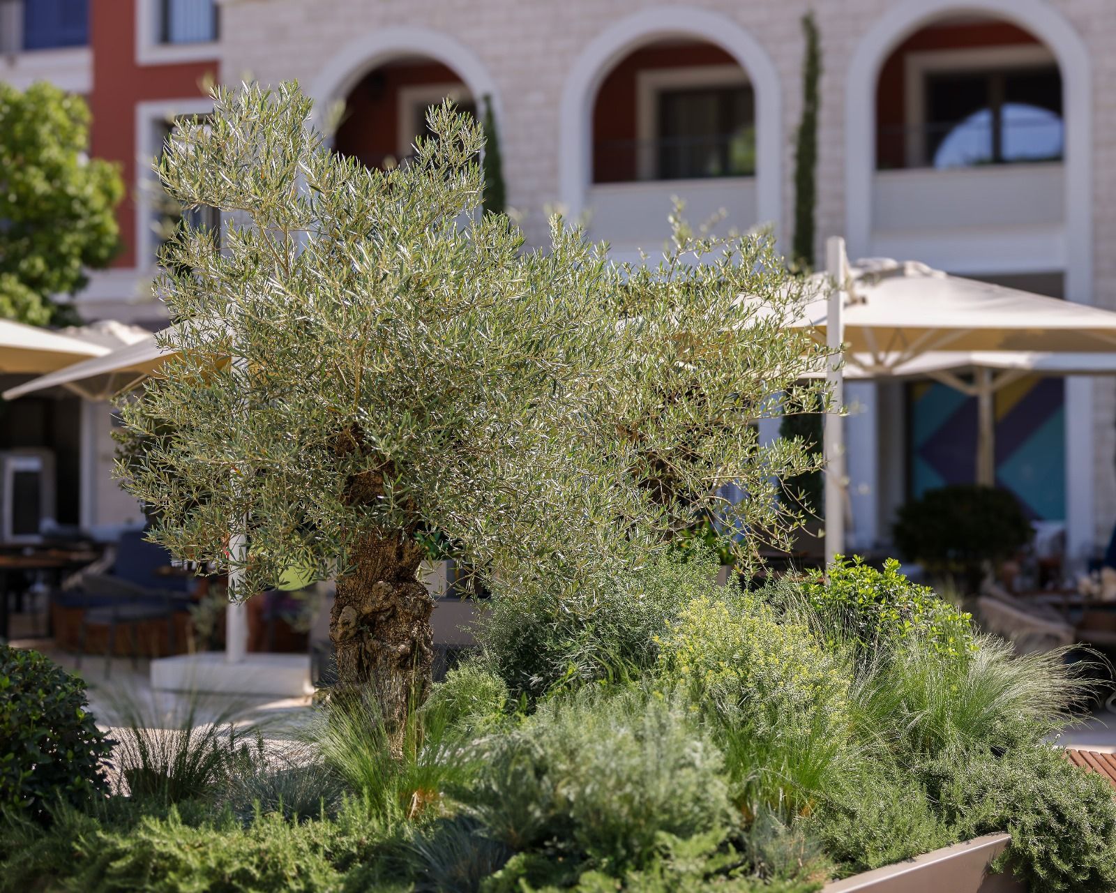 Ekskluzivan jednosoban apartman 72,05 m² – Luštica Bay, Centrale (fleksibilni uslovi plaćanja) - Amfora Real Estate