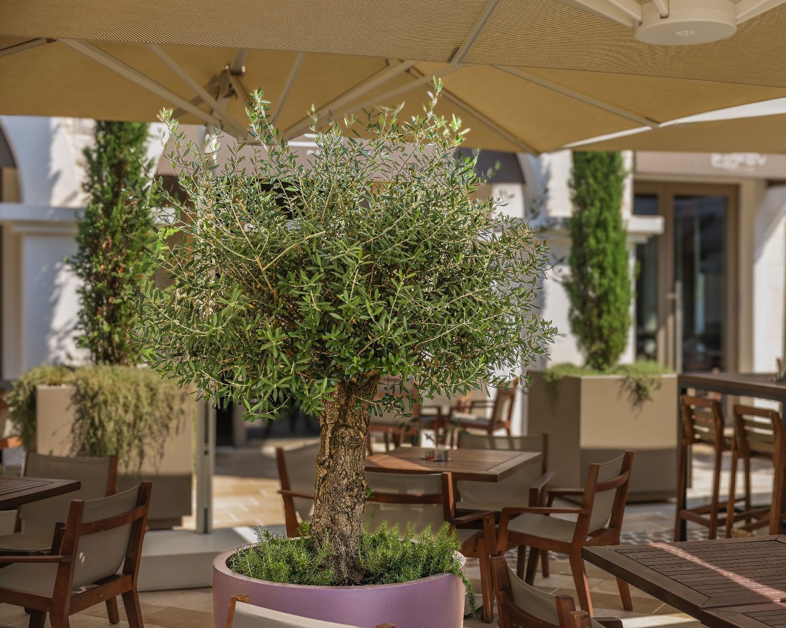 Ekskluzivan jednosoban apartman 72,05 m² – Luštica Bay, Centrale (fleksibilni uslovi plaćanja) - Amfora Real Estate