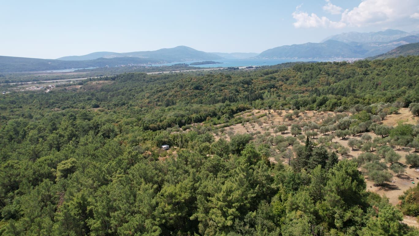 Urbanizovano zemljište 7.700 m² sa mogućnošću gradnje 4.652 m² – Kavač, Kotor - Amfora Real Estate