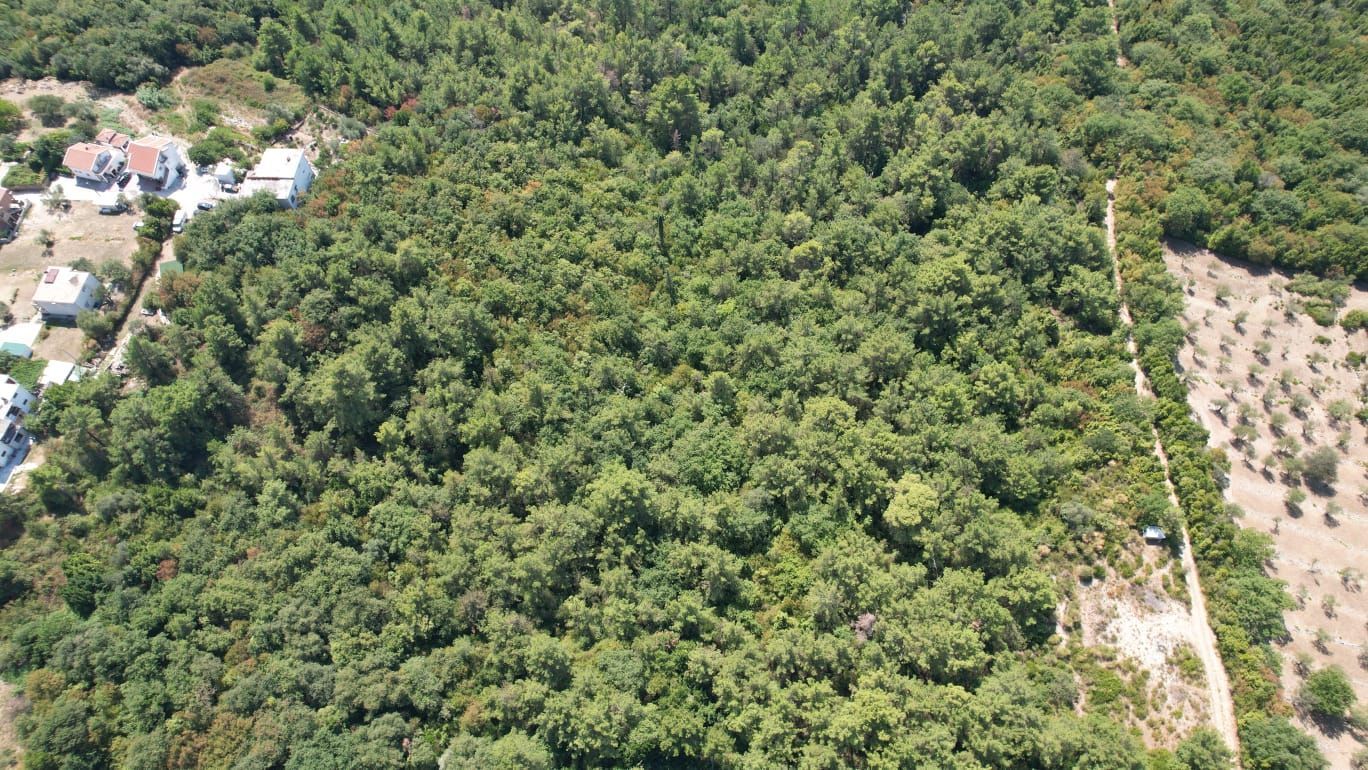 Urbanizovano zemljište 7.700 m² sa mogućnošću gradnje 4.652 m² – Kavač, Kotor - Amfora Real Estate