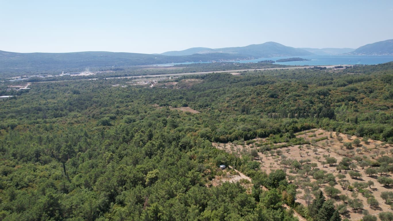 Urbanizovano zemljište 7.700 m² sa mogućnošću gradnje 4.652 m² – Kavač, Kotor - Amfora Real Estate