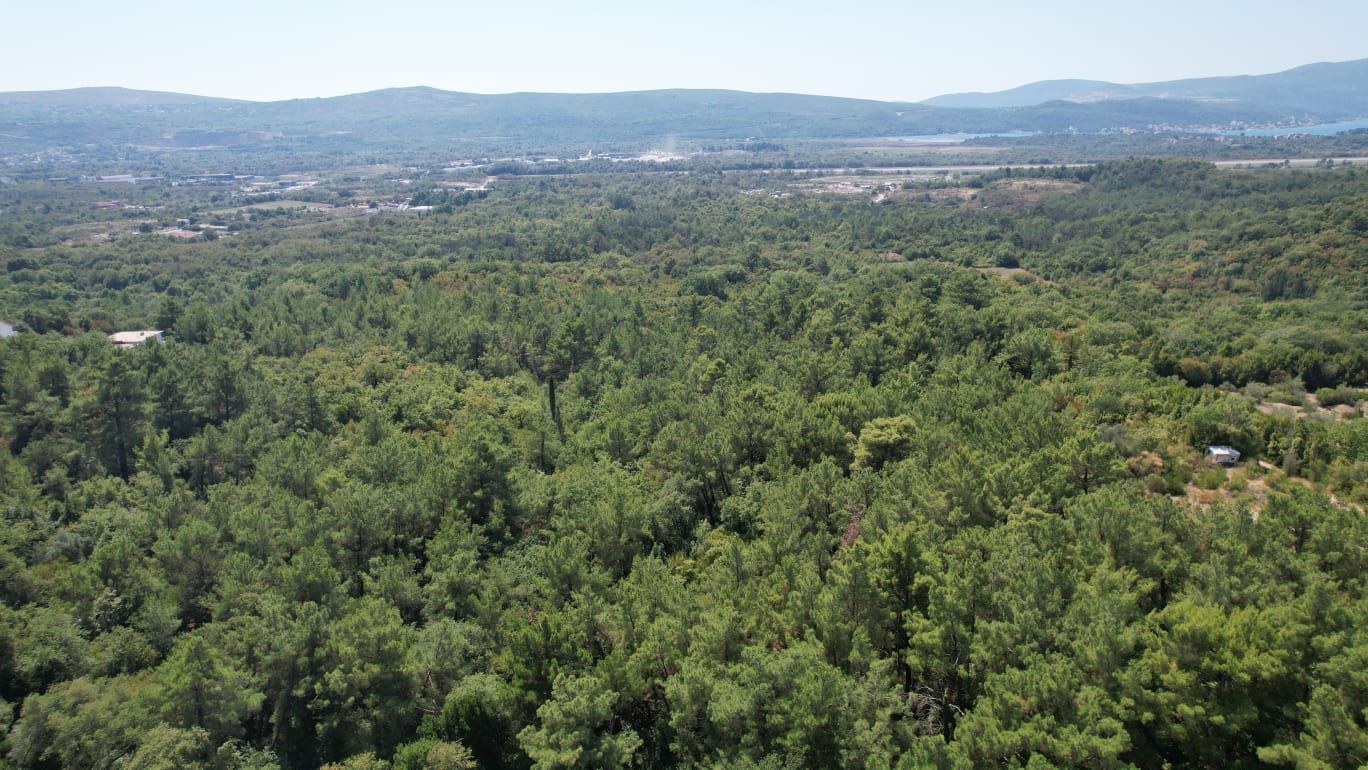 Urbanizovano zemljište 7.700 m² sa mogućnošću gradnje 4.652 m² – Kavač, Kotor - Amfora Real Estate