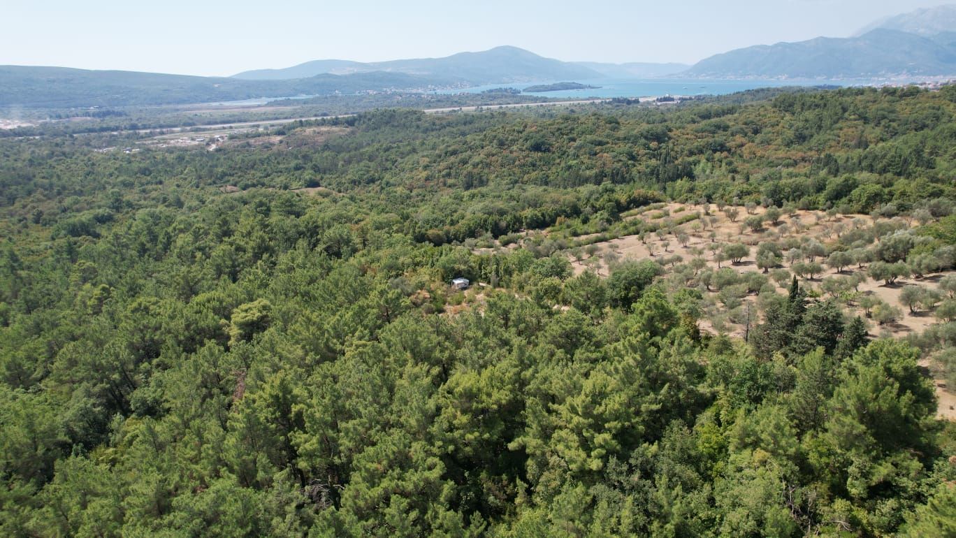 Urbanizovano zemljište 7.700 m² sa mogućnošću gradnje 4.652 m² – Kavač, Kotor - Amfora Real Estate