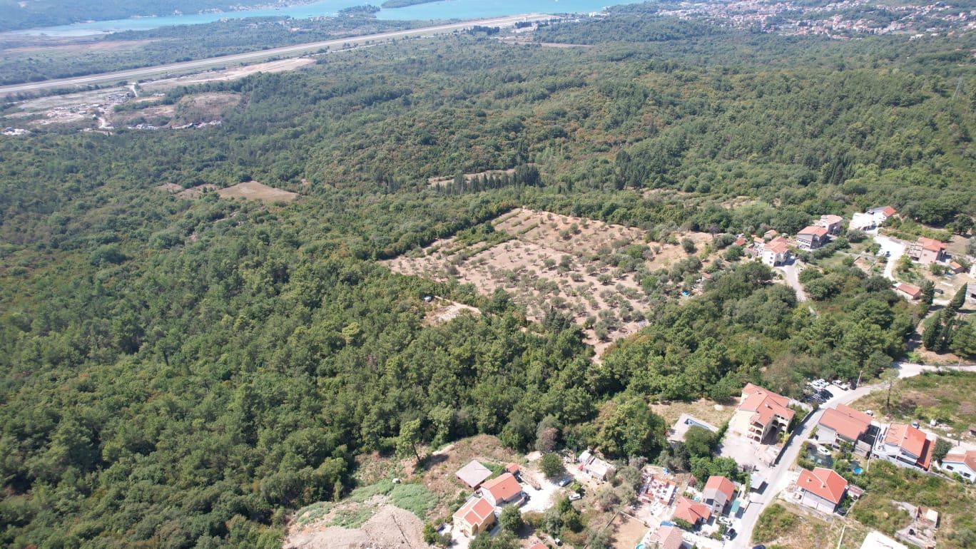 Urbanizovano zemljište 7.700 m² sa mogućnošću gradnje 4.652 m² – Kavač, Kotor - Amfora Real Estate