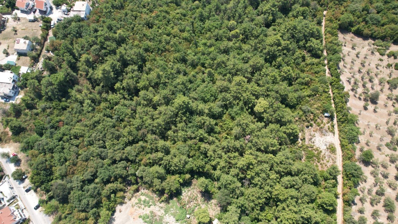 Urbanizovano zemljište 7.700 m² sa mogućnošću gradnje 4.652 m² – Kavač, Kotor - Amfora Real Estate