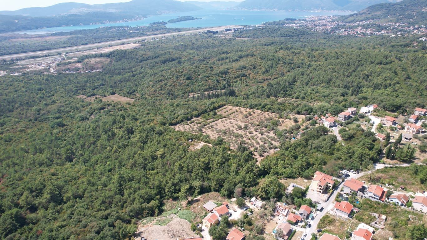 Urbanizovano zemljište 7.700 m² sa mogućnošću gradnje 4.652 m² – Kavač, Kotor - Amfora Real Estate