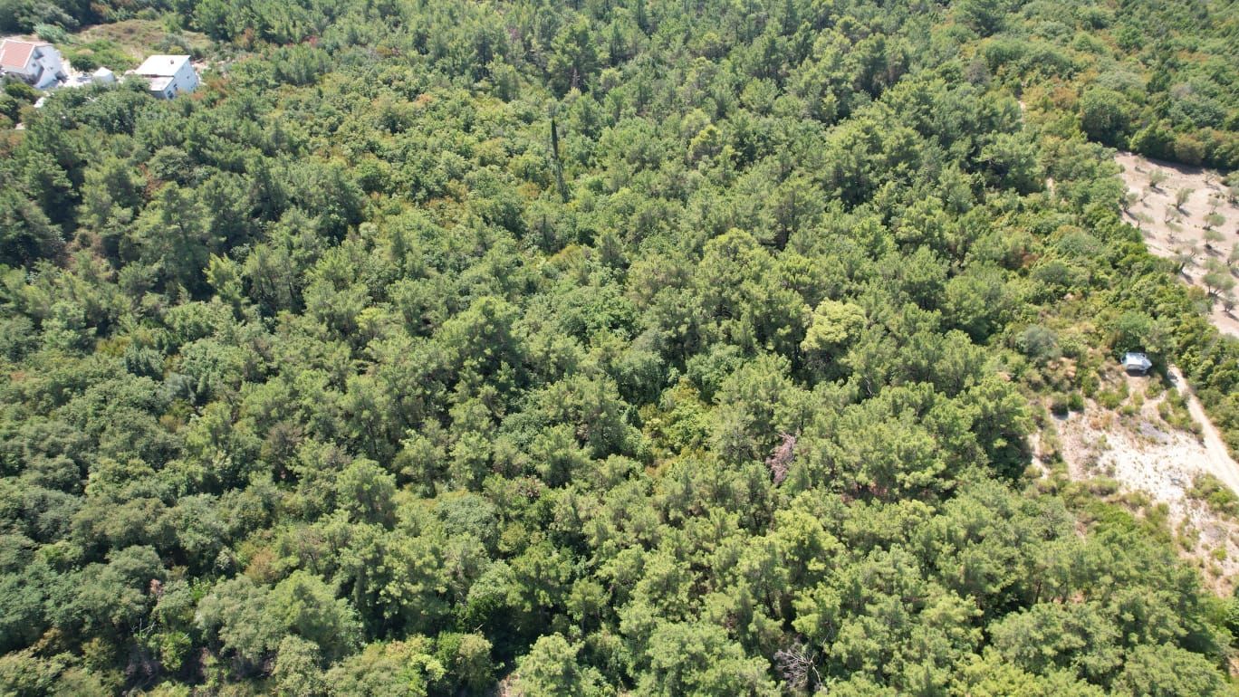 Urbanizovano zemljište 7.700 m² sa mogućnošću gradnje 4.652 m² – Kavač, Kotor - Amfora Real Estate