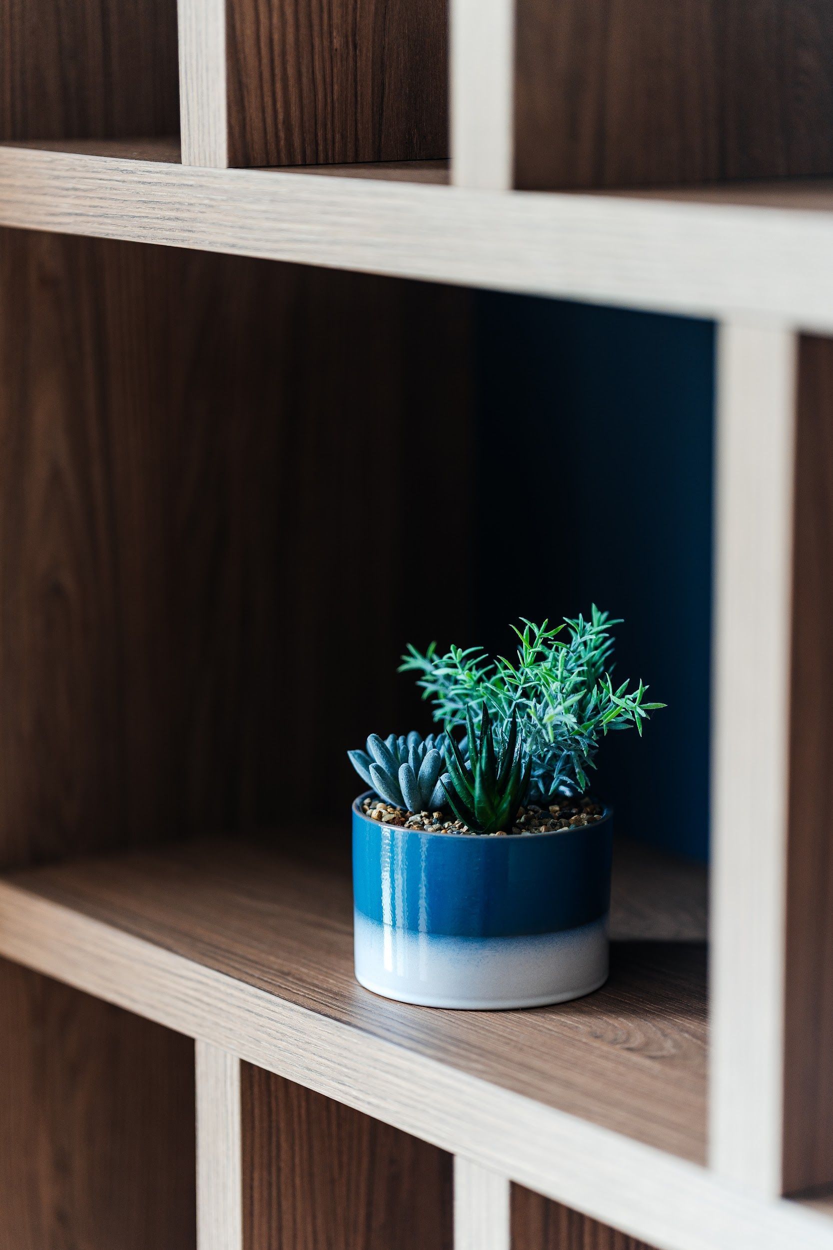 Izdaje se nova luksuzna vila sa bazenom i panoramskim pogledom na more – Reževići, Budva (na duži period) - Amfora Real Estate