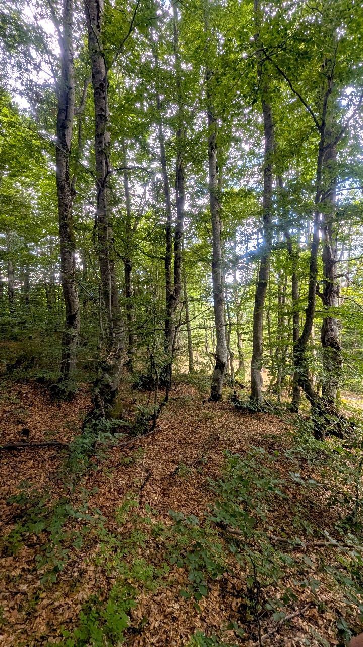 Ekskluzivna urbanizovana parcela 664m² u planinskom kompleksu na Žabljaku - Amfora Real Estate