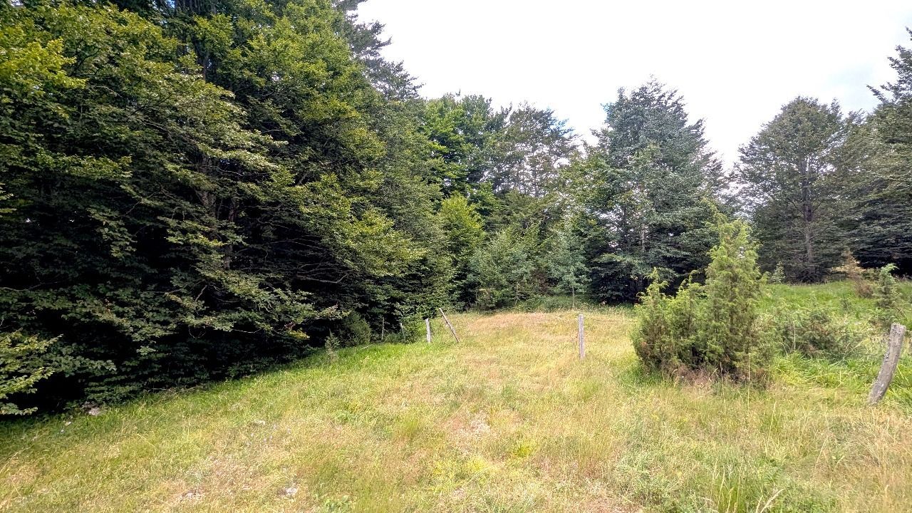 Ekskluzivna urbanizovana parcela 664m² u planinskom kompleksu na Žabljaku - Amfora Real Estate