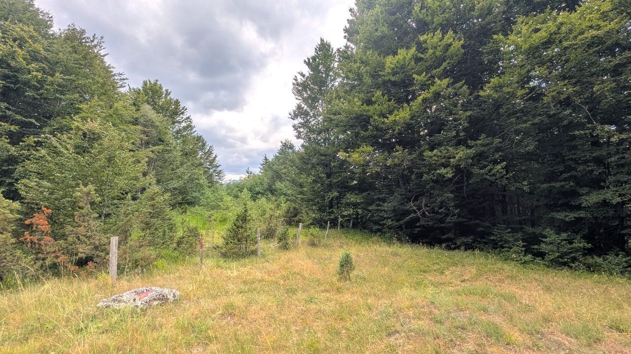 Ekskluzivna urbanizovana parcela 585m² u planinskom kompleksu na Žabljaku - Amfora Real Estate