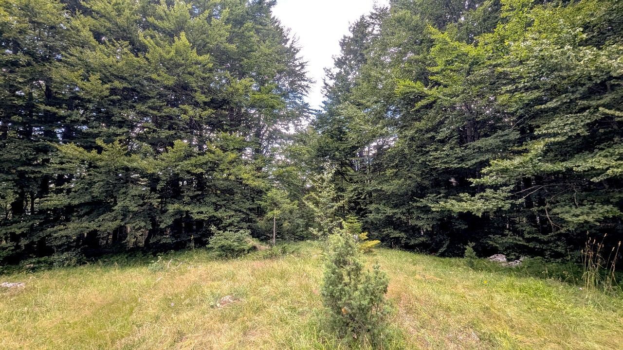 Ekskluzivna urbanizovana parcela 649m² u planinskom kompleksu na Žabljaku - Amfora Real Estate