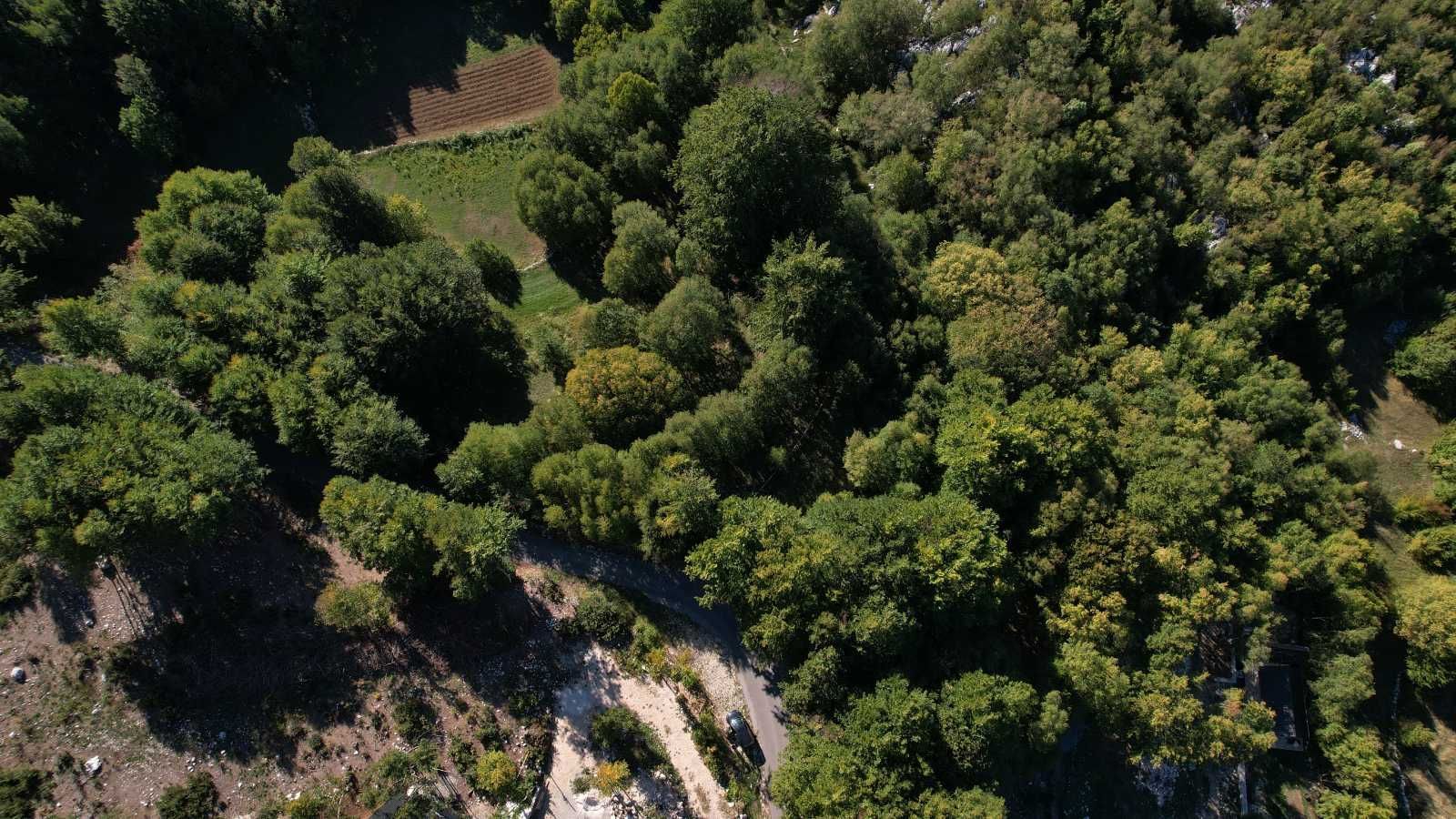 Prodaja zemljišta 2.210 m² sa asfaltnim prilazom i strujom – Bjeloši, Cetinje - Amfora Real Estate