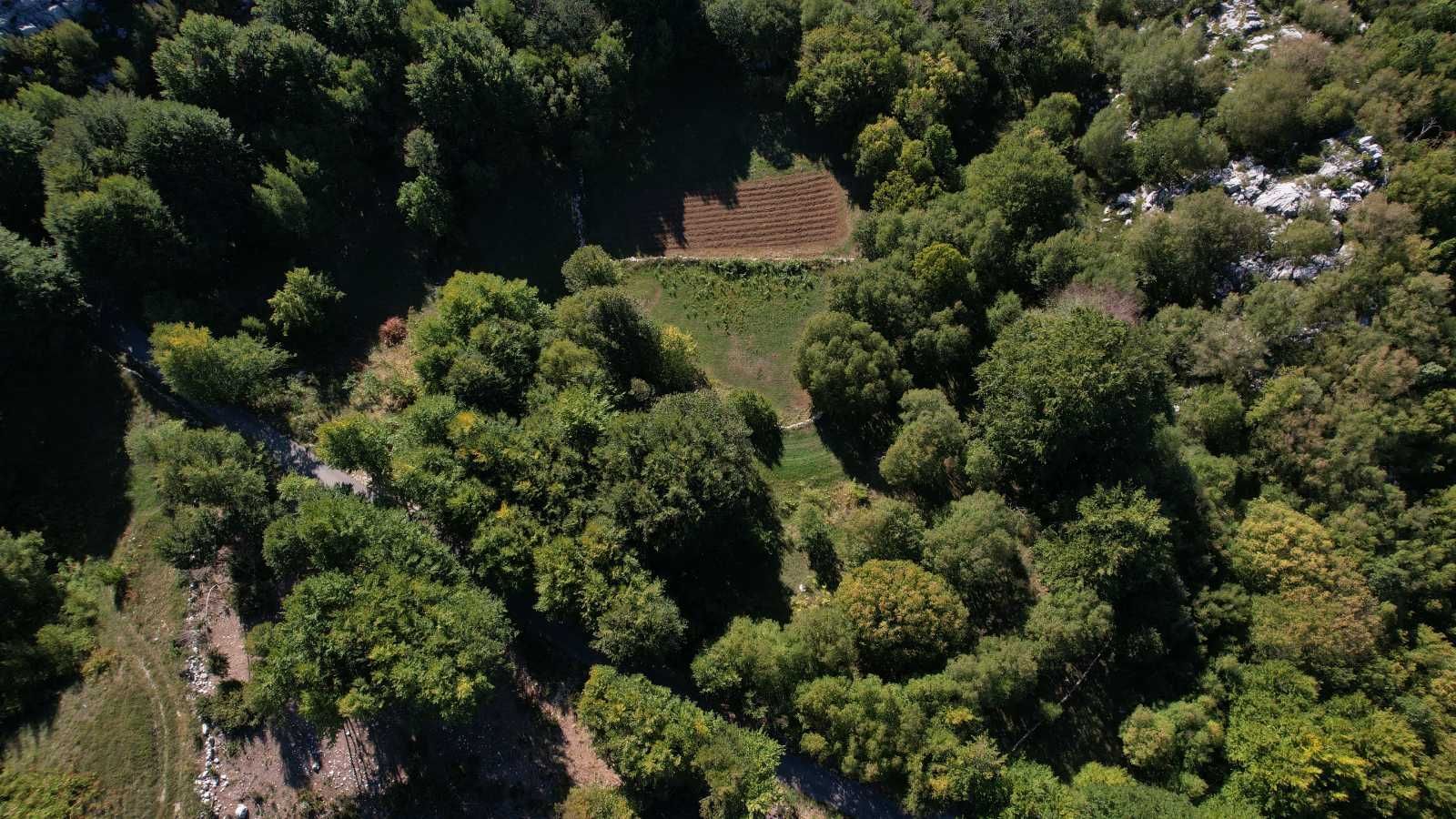 Prodaja zemljišta 2.210 m² sa asfaltnim prilazom i strujom – Bjeloši, Cetinje - Amfora Real Estate