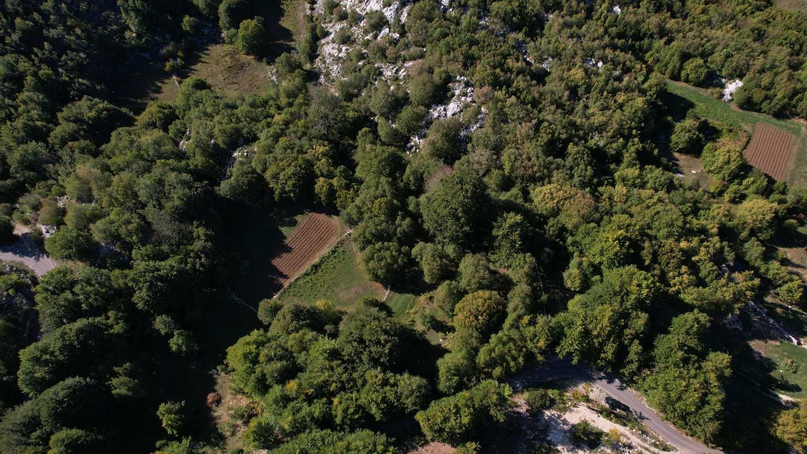 Prodaja zemljišta 2.210 m² sa asfaltnim prilazom i strujom – Bjeloši, Cetinje - Amfora Real Estate