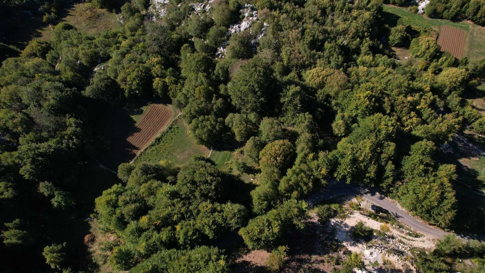 Prodaja zemljišta 2.210 m² sa asfaltnim prilazom i strujom – Bjeloši, Cetinje - Amfora Real Estate