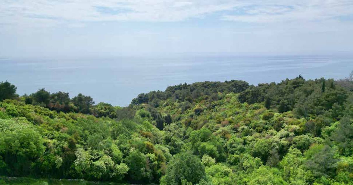 Ekskluzivna investiciona prilika — Urbanizovano zemljište od 22.800 m² sa pogledom na more u Ulcinju, idealno za izgradnju luksuznog turističkog kompleksa - Amfora Real Estate