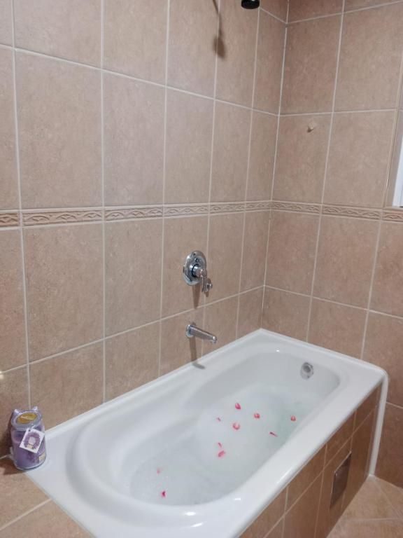 Izdavanje –komforna kuća sa panoramskim pogledom na more , Herceg Novi (na duzi period) - Amfora Real Estate