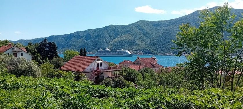 Prodaja zemljišta 727 m² sa kućom 115 m² – Dobrota, Sveti Stasije, 200 m od mora - Amfora Real Estate