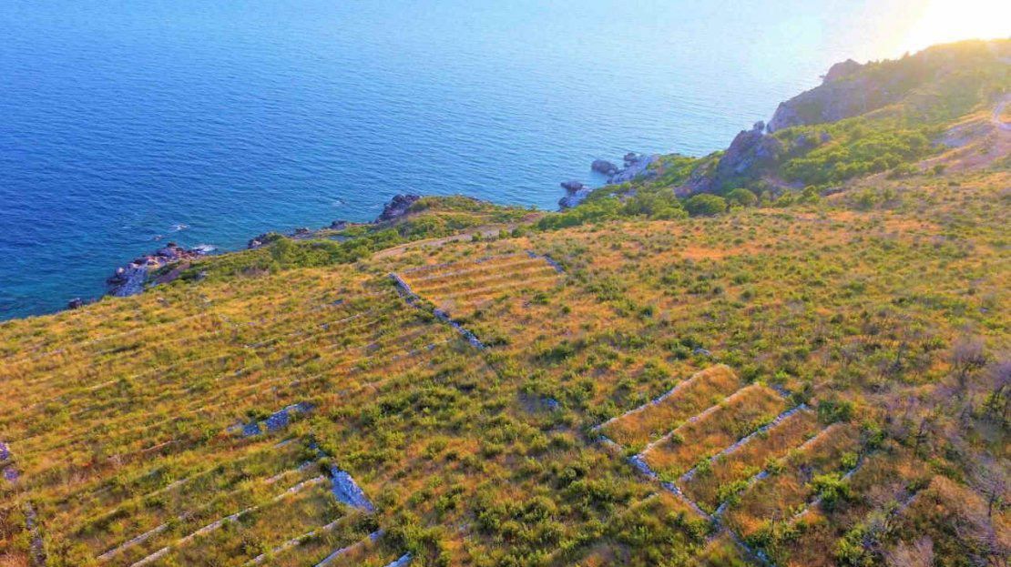 Prodaja urbanizovanog zemljista 1.492 m² sa panoramskim pogledom na more – Skočiđevojka, Reževići - Amfora Real Estate