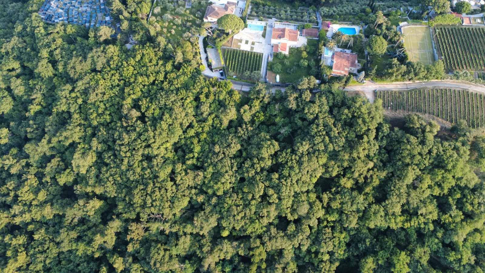 Prodaja zemljišta 3.728 m² – Savinska Dubrava, Herceg Novi - Amfora Real Estate