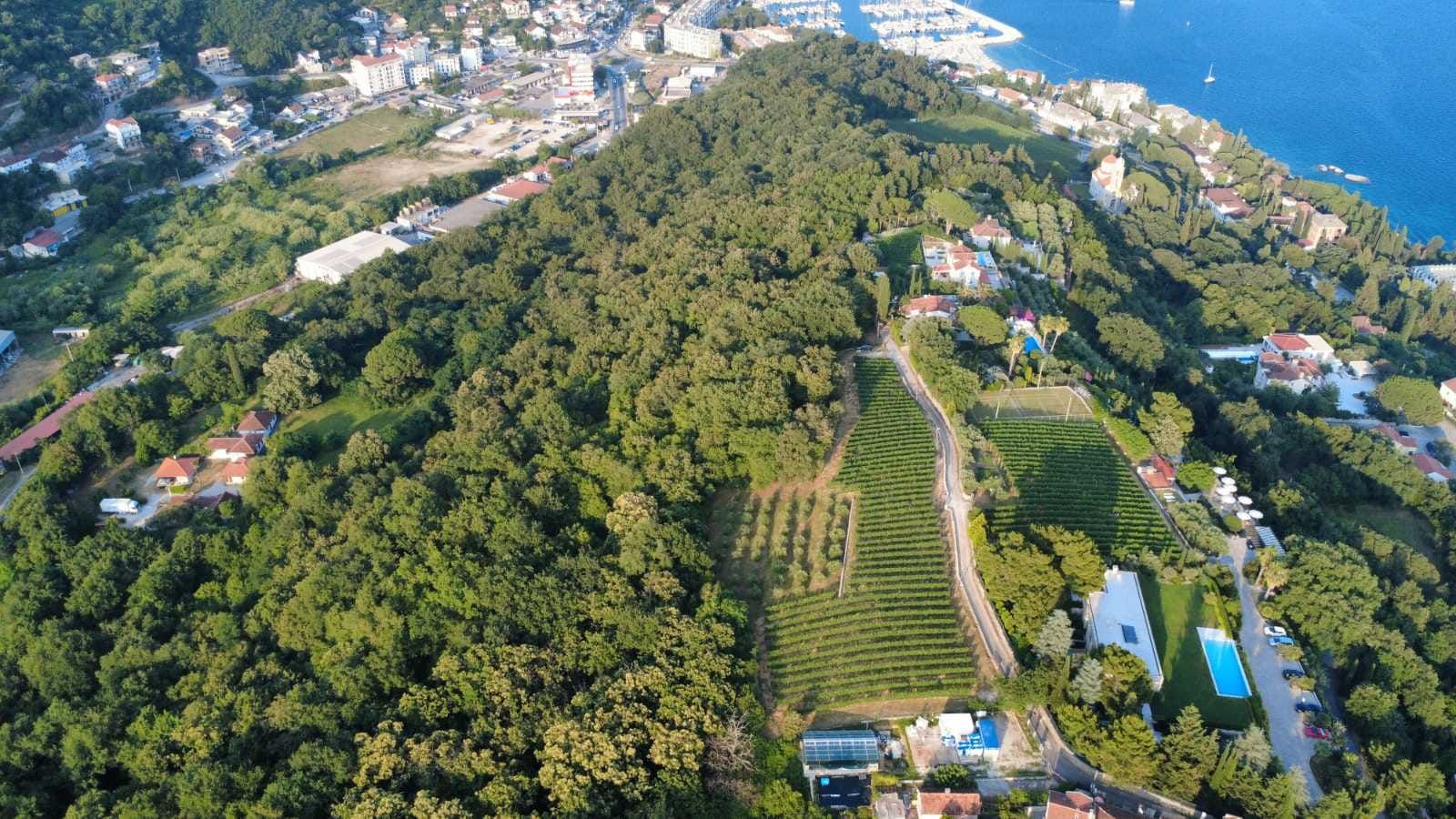 Prodaja zemljišta 3.728 m² – Savinska Dubrava, Herceg Novi - Amfora Real Estate