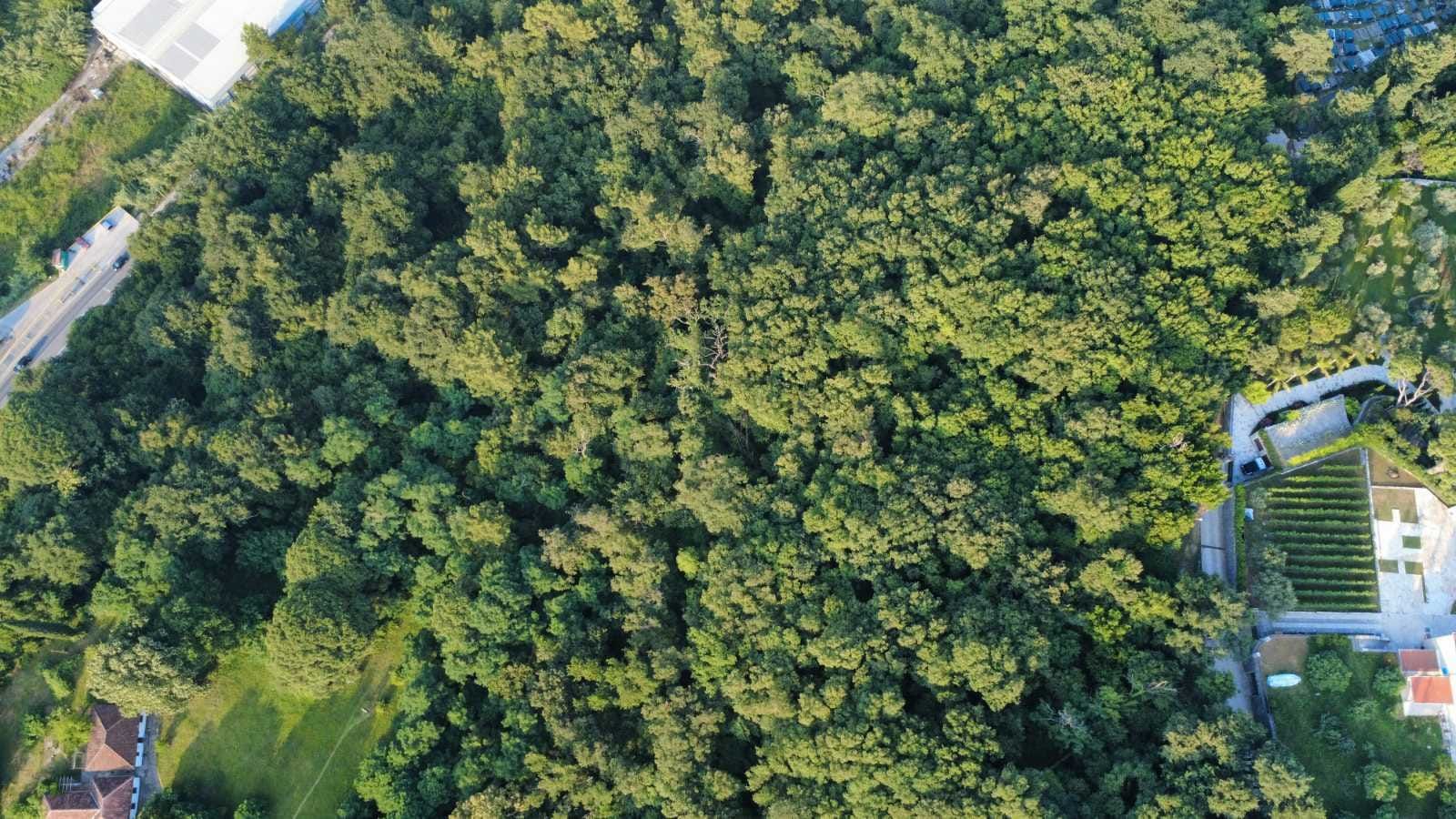 Prodaja zemljišta 3.728 m² – Savinska Dubrava, Herceg Novi - Amfora Real Estate