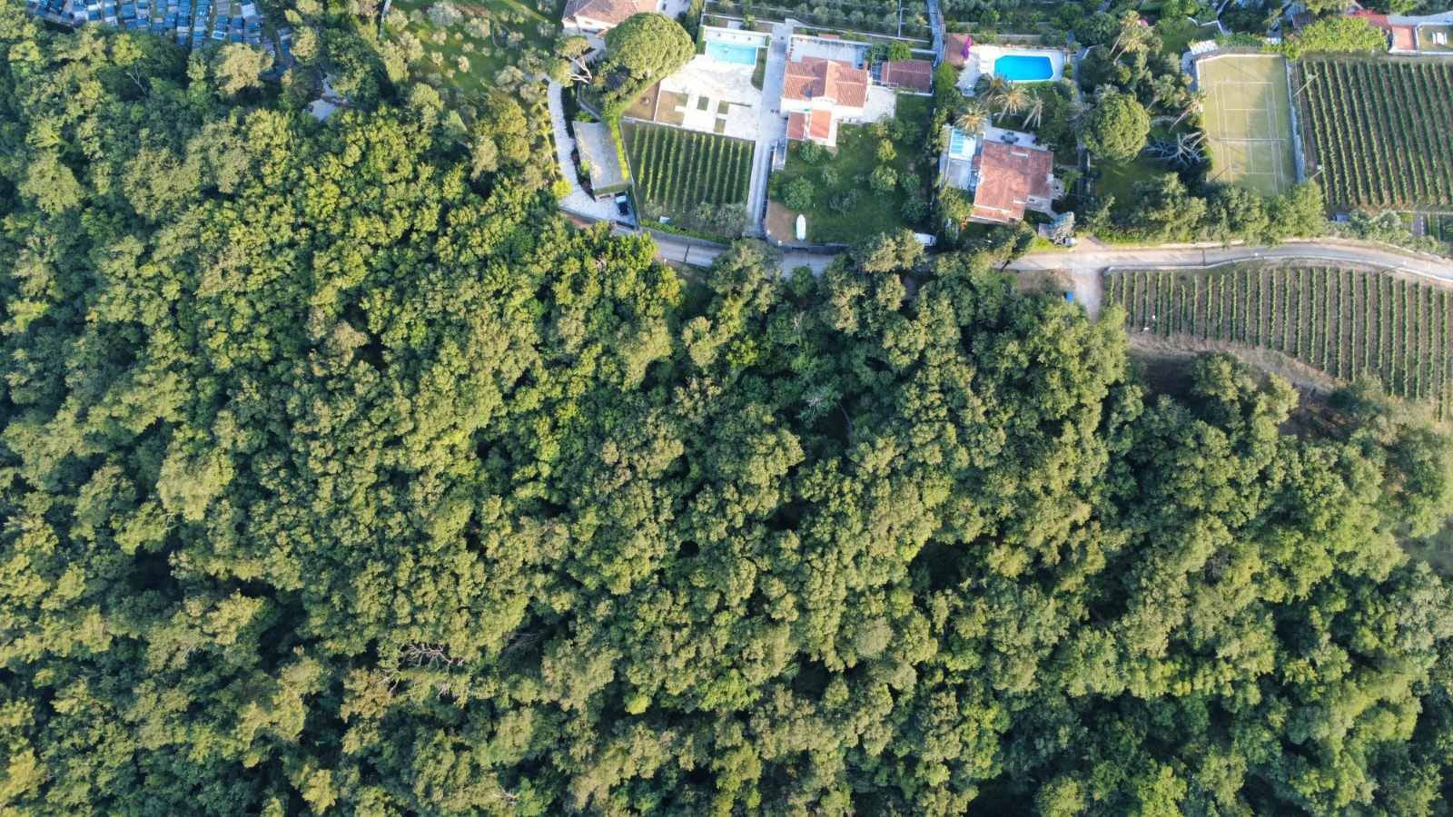 Prodaja zemljišta 3.728 m² – Savinska Dubrava, Herceg Novi - Amfora Real Estate