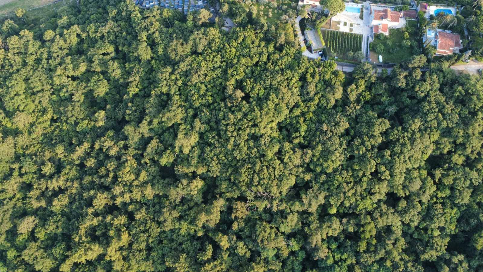 Prodaja zemljišta 3.728 m² – Savinska Dubrava, Herceg Novi - Amfora Real Estate