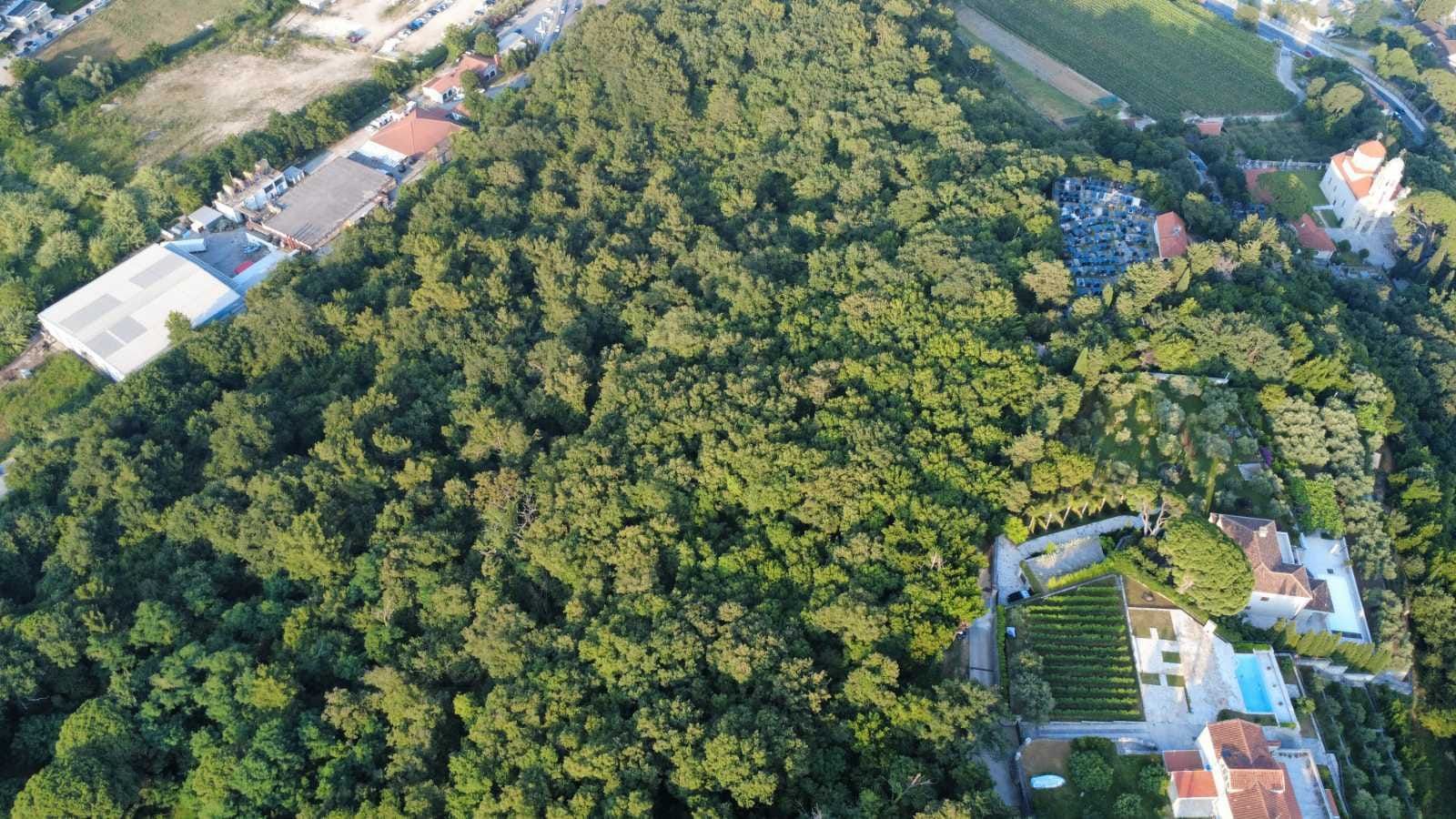 Prodaja zemljišta 3.728 m² – Savinska Dubrava, Herceg Novi - Amfora Real Estate