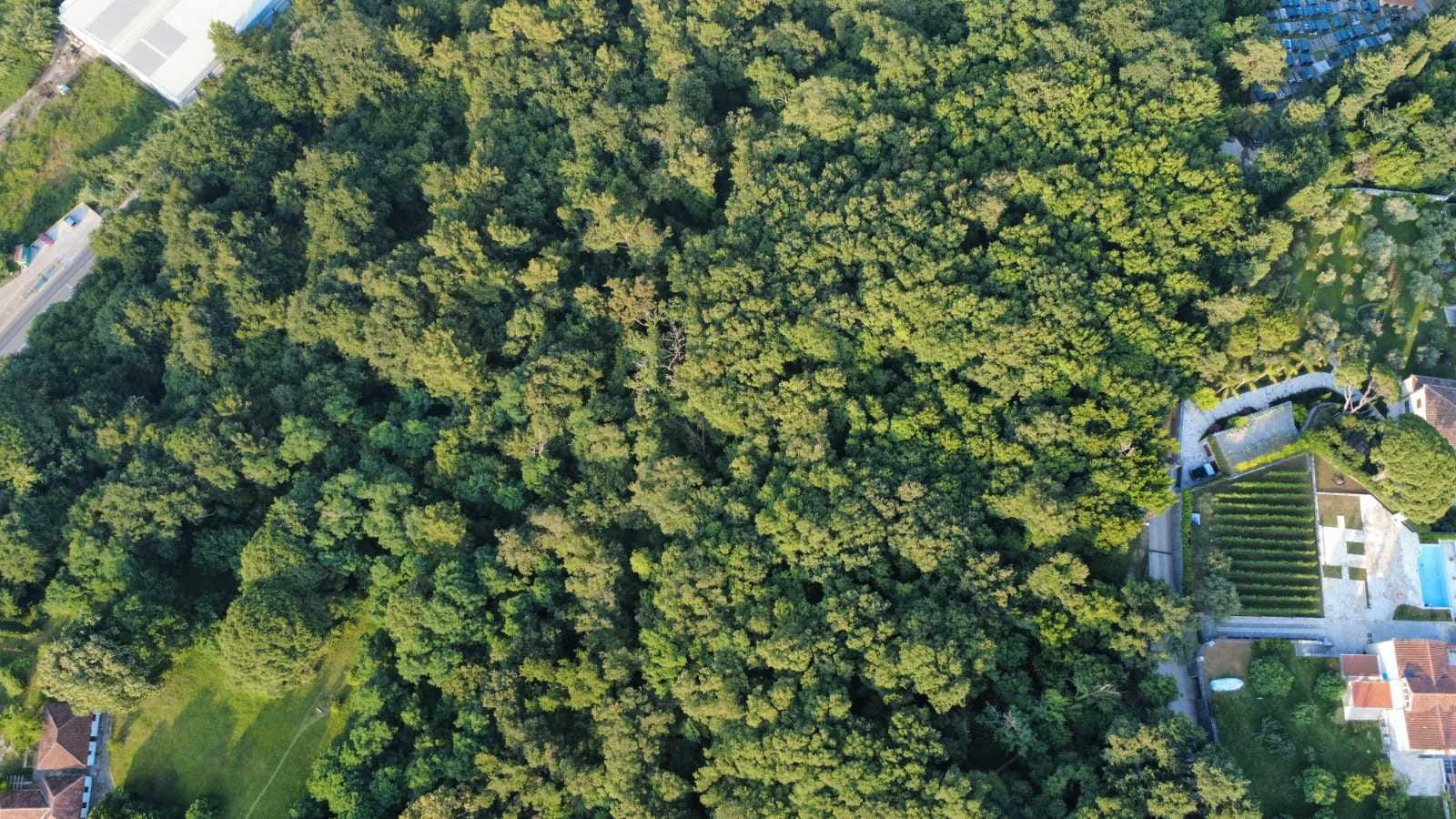 Prodaja zemljišta 3.728 m² – Savinska Dubrava, Herceg Novi - Amfora Real Estate