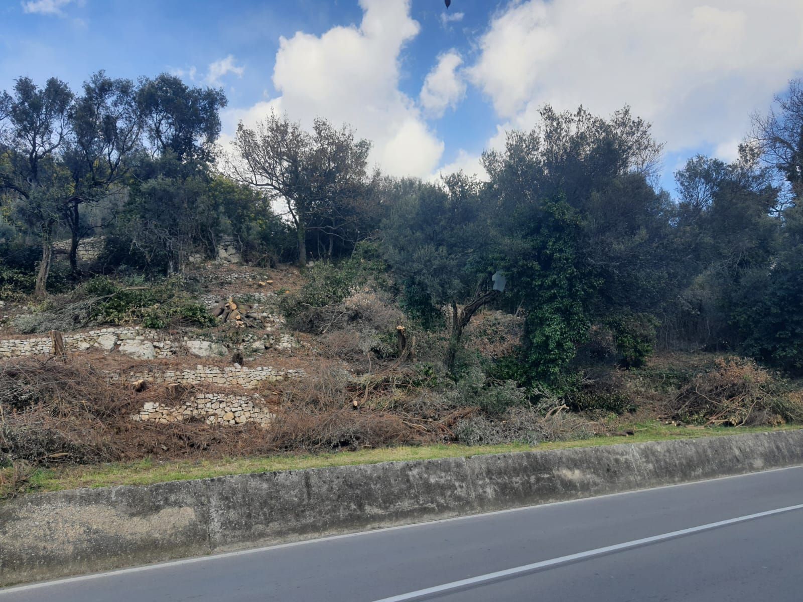 Prodaja urbanizovanog zemljišta 450 m² sa projektom – Đenovići, blizu Portonovi Marine, pogled na more - Amfora Real Estate