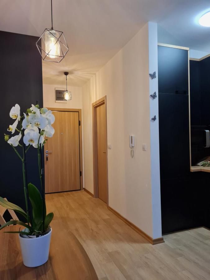 Prodaja garsonjere 27m² u kompleksu The Old Bakery, Budva - Amfora Real Estate