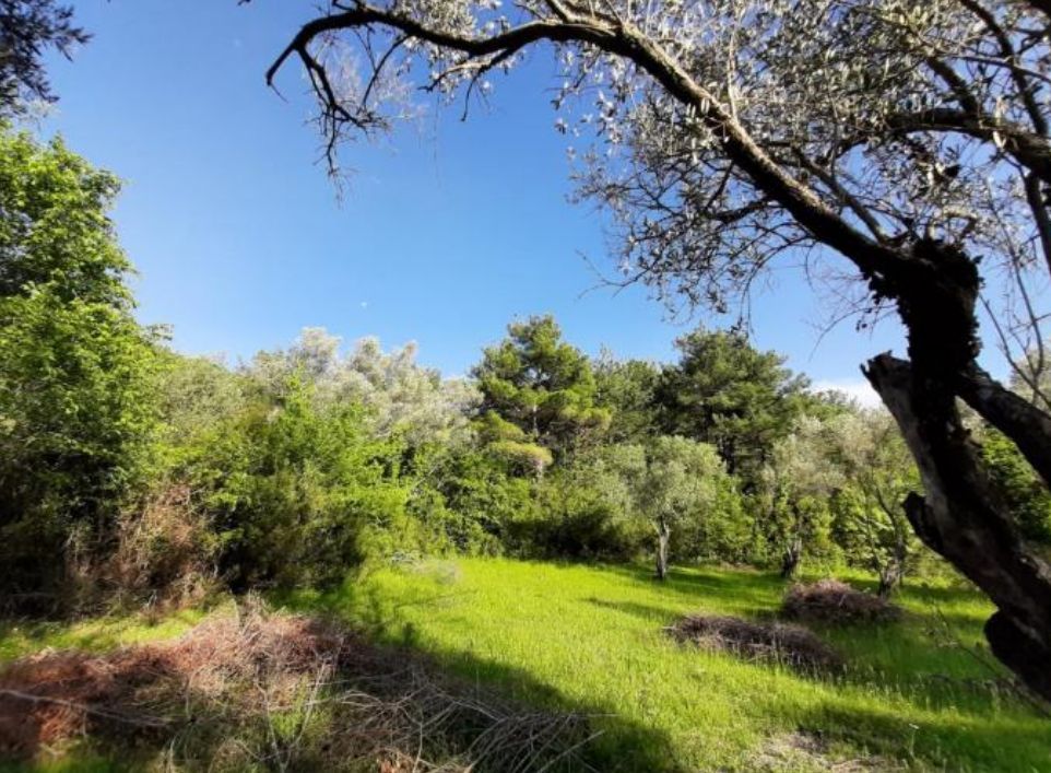 Zemljište za zajedničku gradnju – Kavač, Kotor, 2.177 m² - Amfora Real Estate